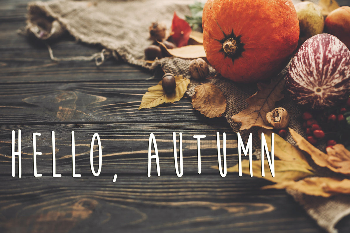 Fall Collection