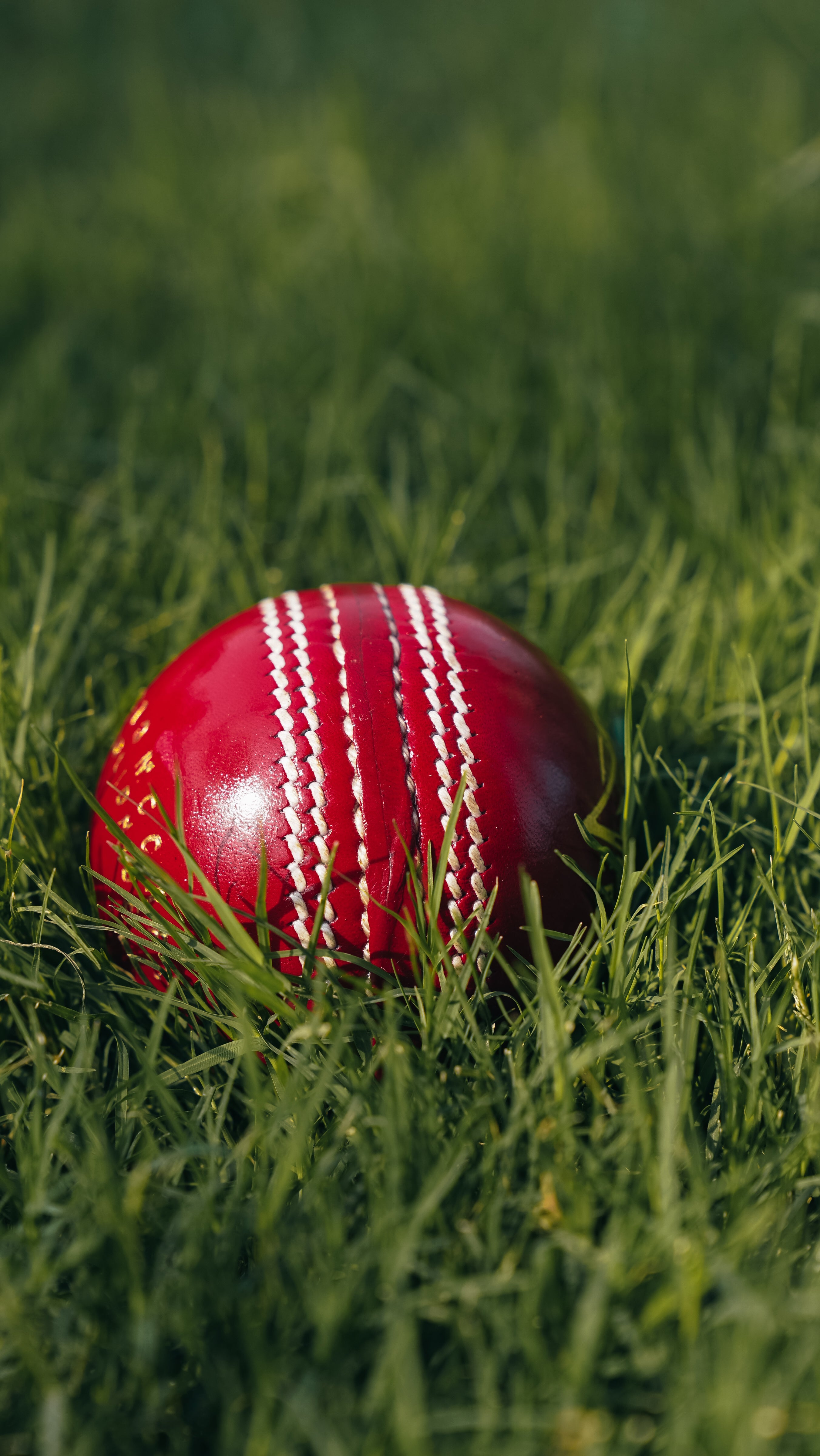 Bolt Enduro Leather Ball - Machine Stitched - 6 Pack