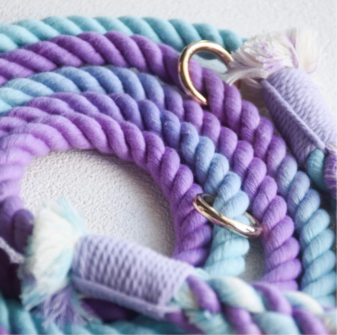 HANDS FREE ROPE LEASH - AURORA-1
