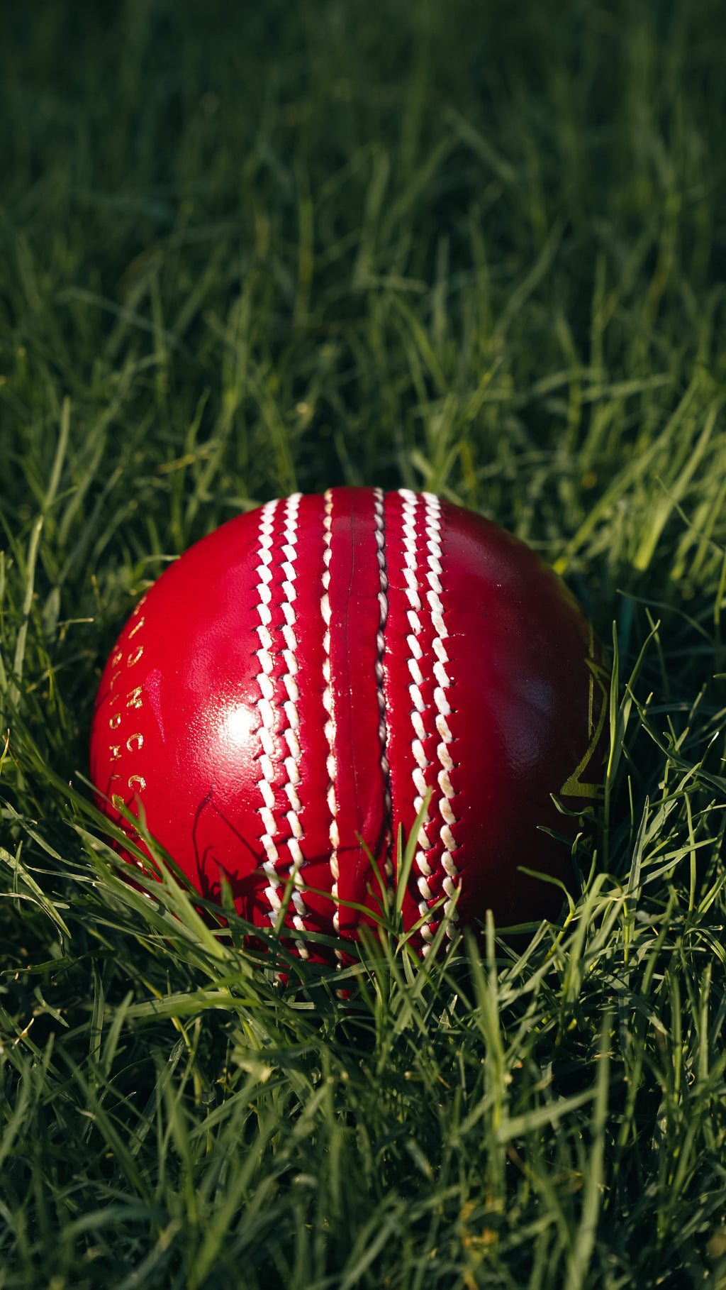 Bolt Striker Leather Ball - Hand Stitched - 6 Pack