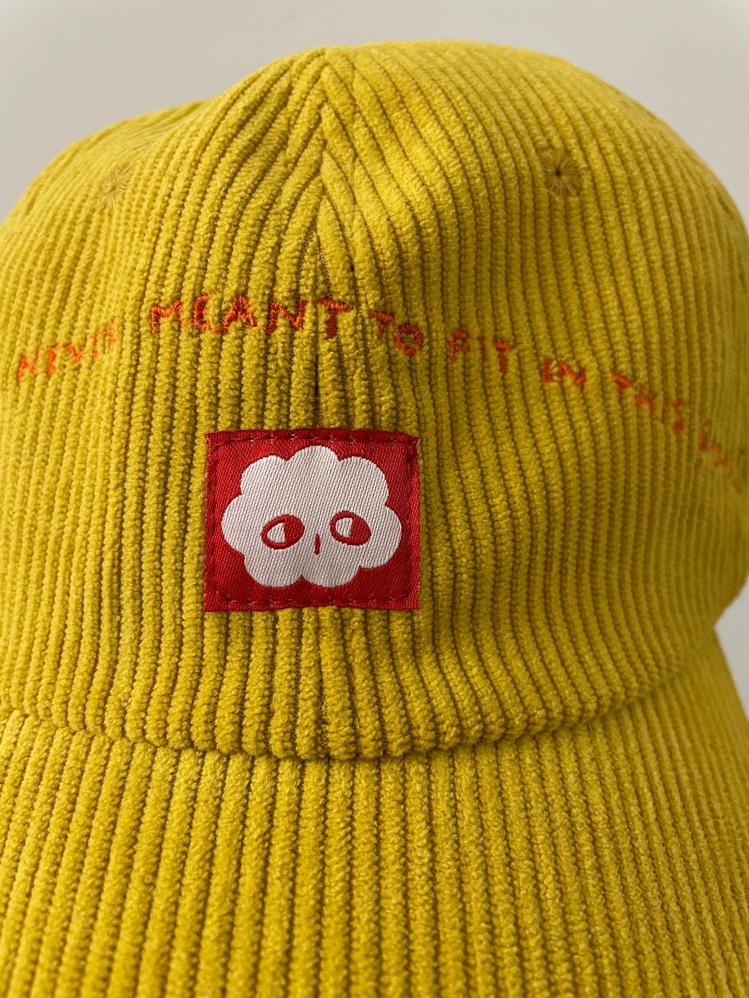 BIG PLANS: Yellow corduroy baseball cap