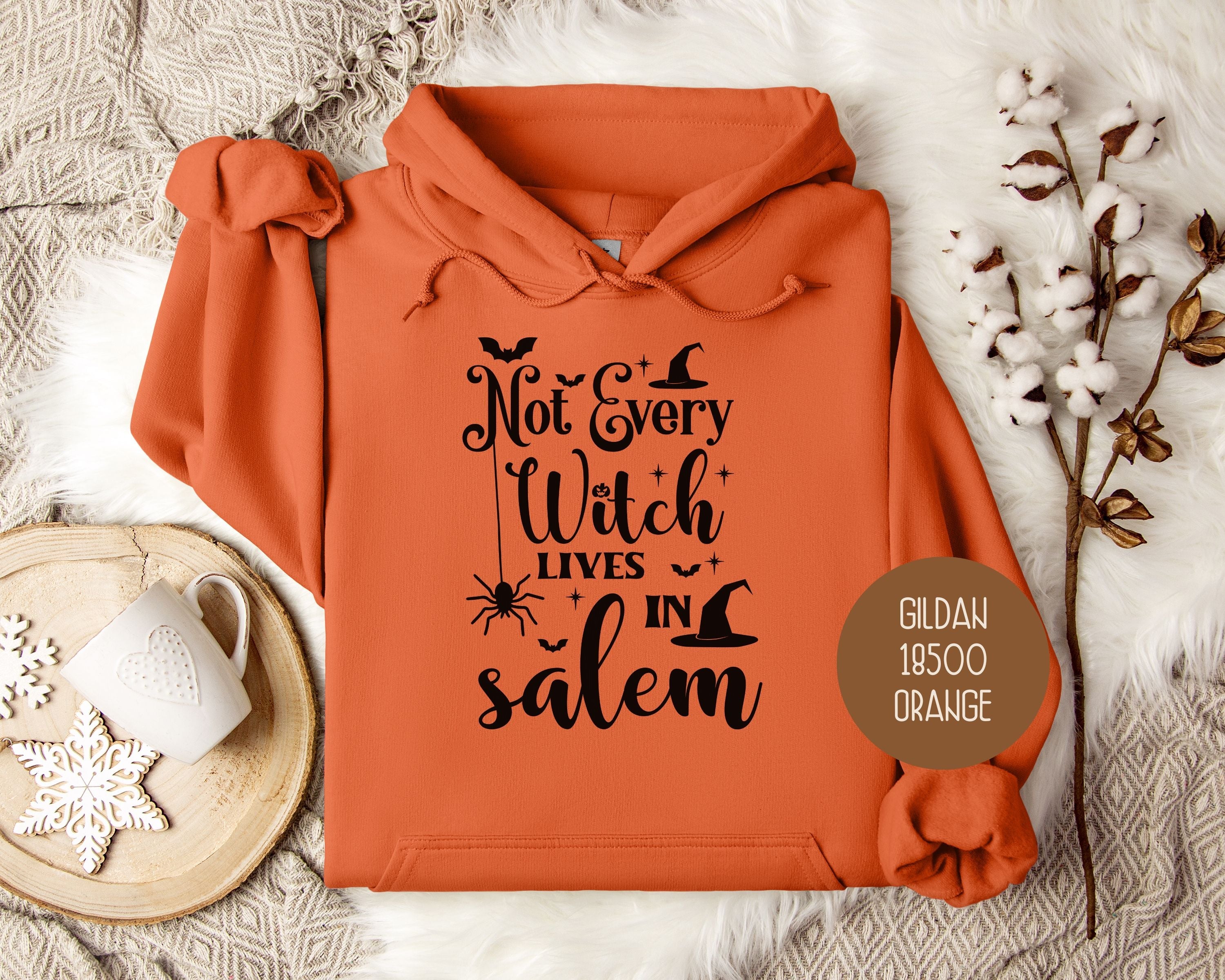 Not Every Witch Lives in Salem Hoodie-2
