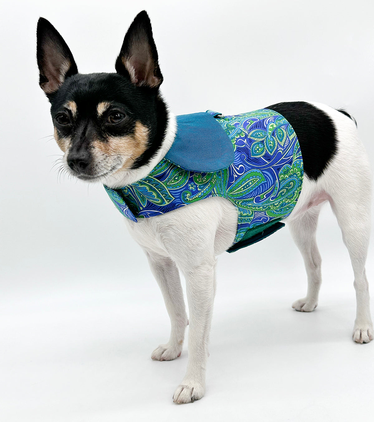 DCNY “Paisley Paws" Harness Vest