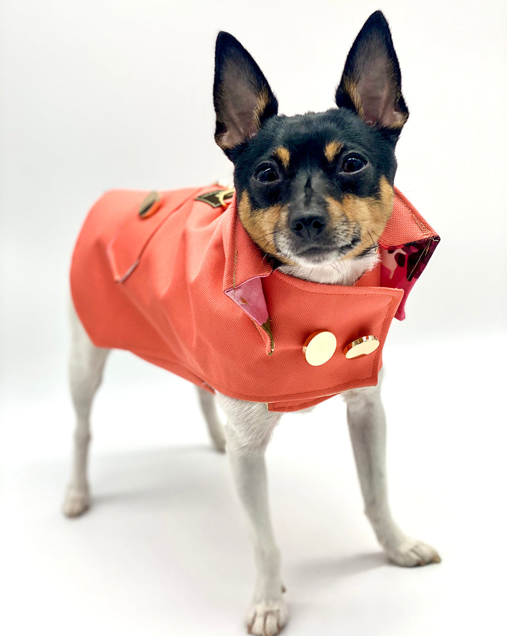 DCNY Coral Trench Coat With Peachskin Lining