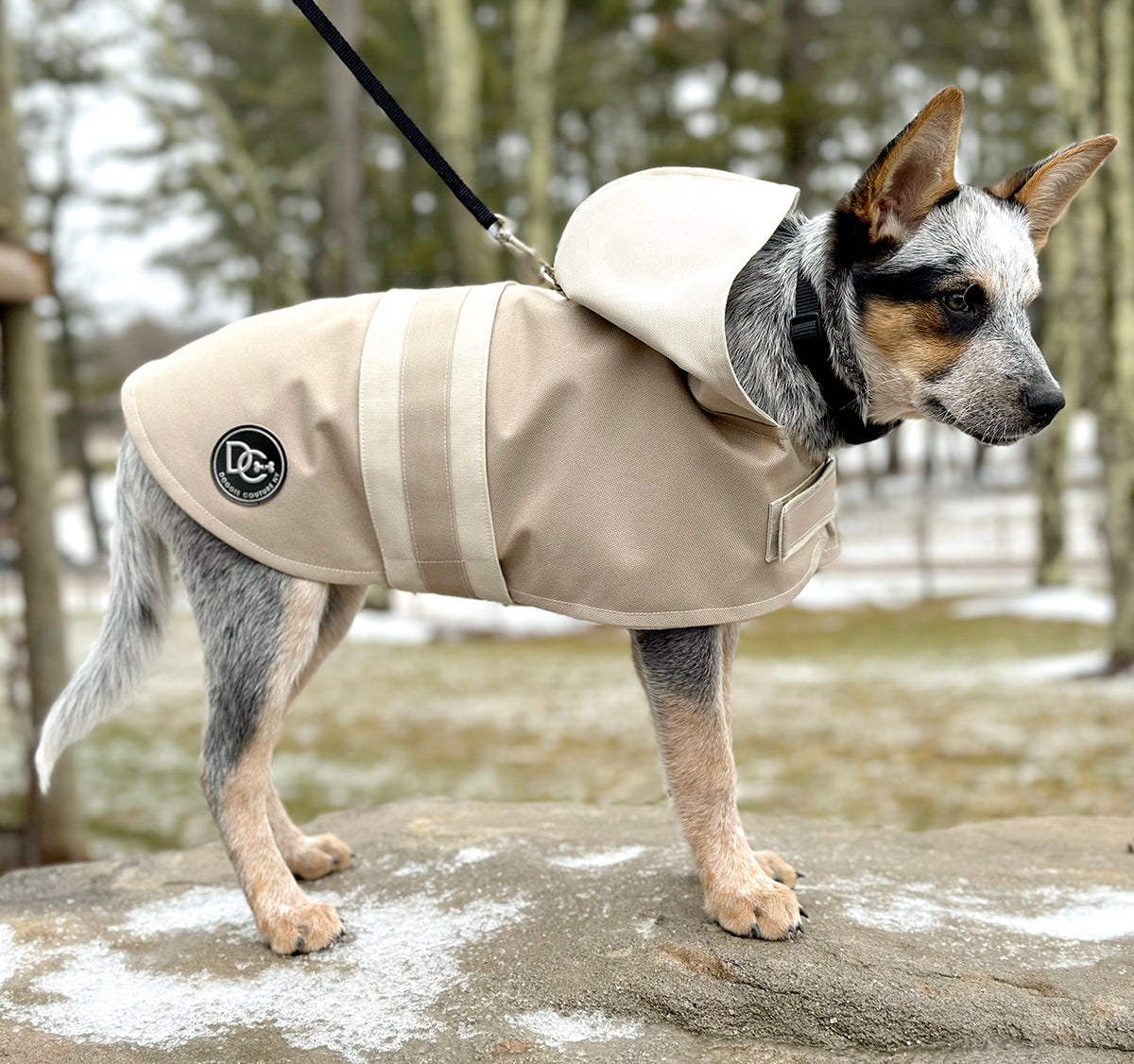 DCNY Sport Luxe Hooded Raincoat