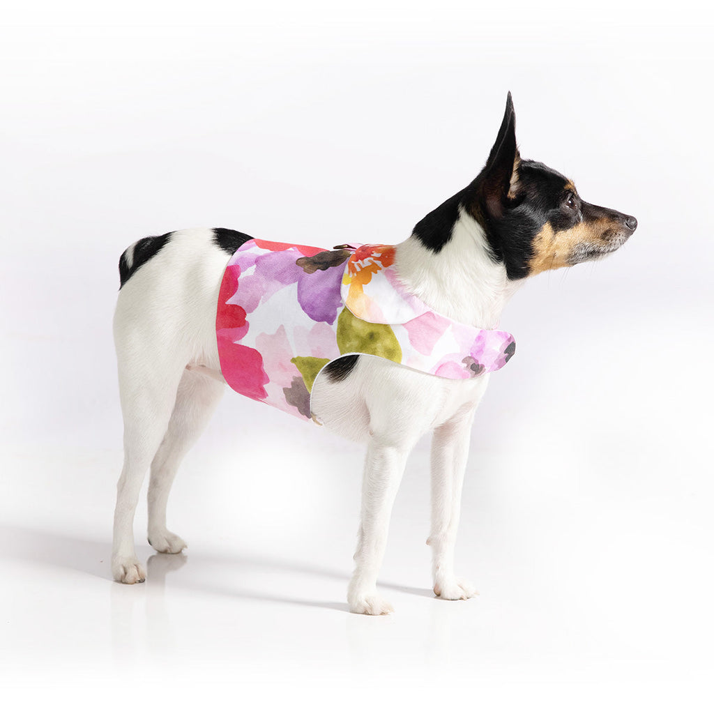 DCNY “Fine Art Frolic” Pink Vest-Style Harness
